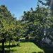 Corbeanca Tamasi